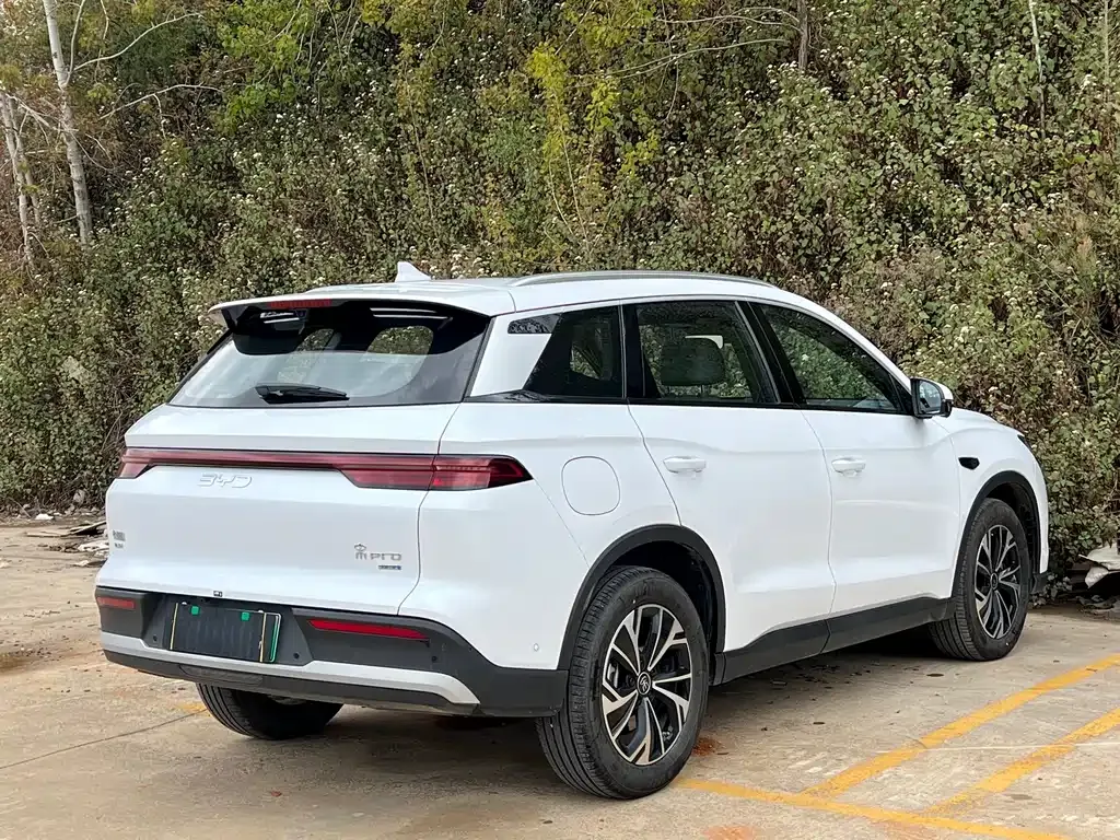 BYD Pro New Energy — фото 6