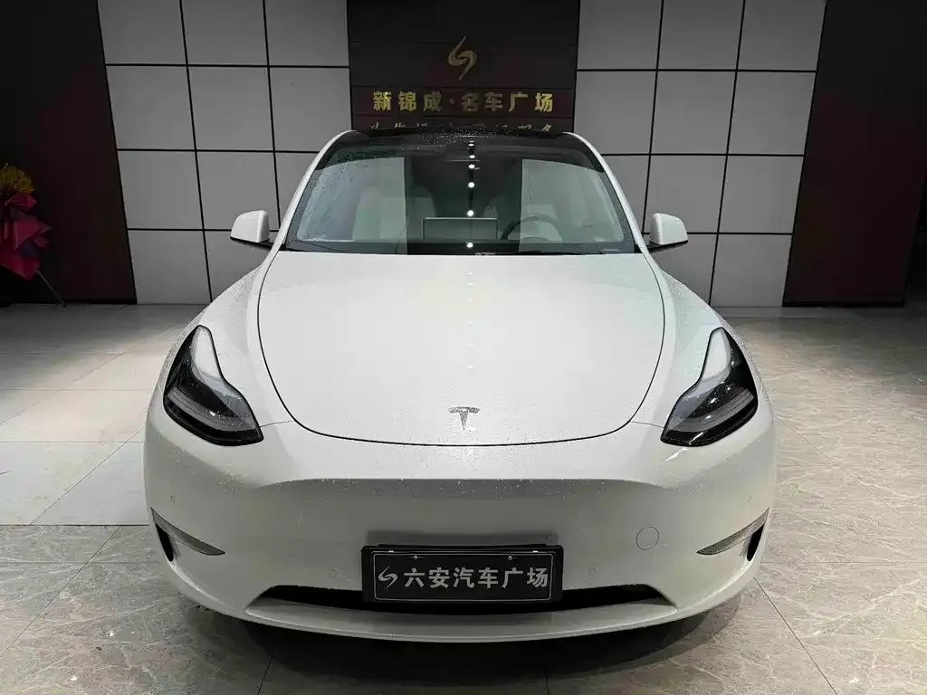 Tesla Model Y — фото 5