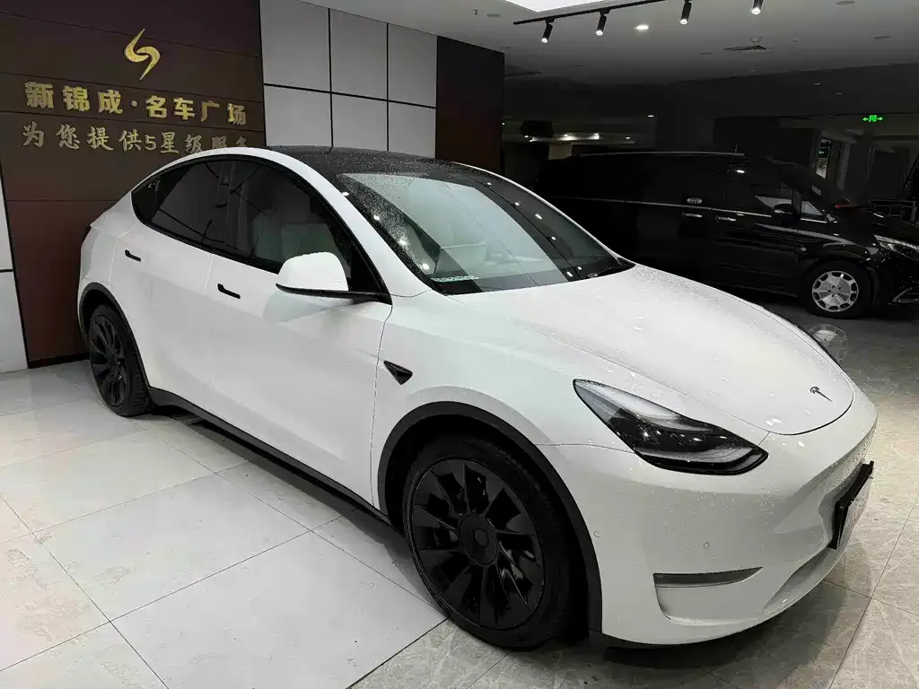 Tesla Model Y — фото 3