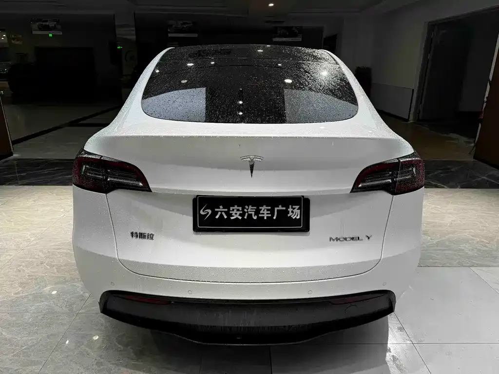 Tesla Model Y — фото 2