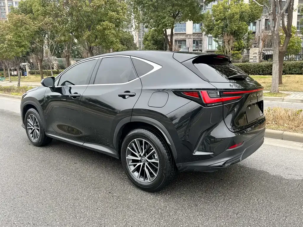 Lexus NX — фото 10