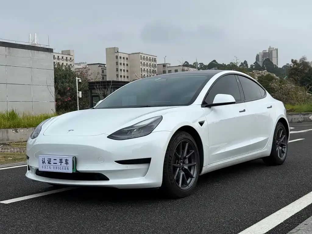 Tesla Model 3 2021 из CN, фото 1