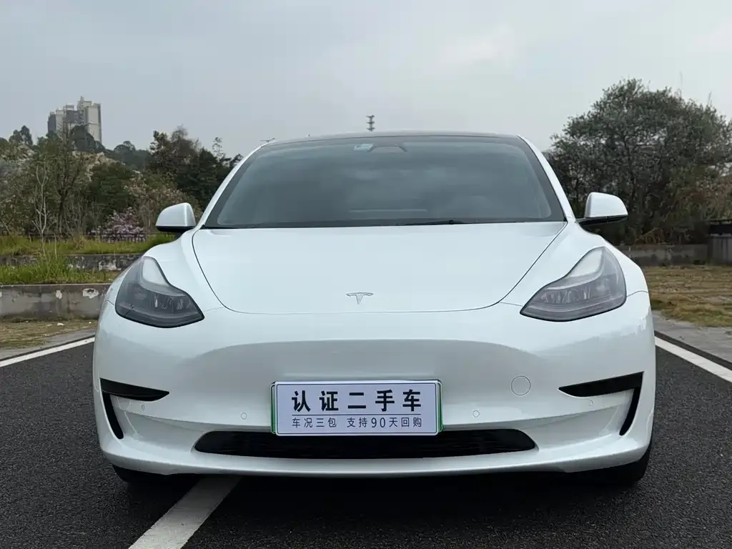 Tesla Model 3 2021 из CN, фото 6