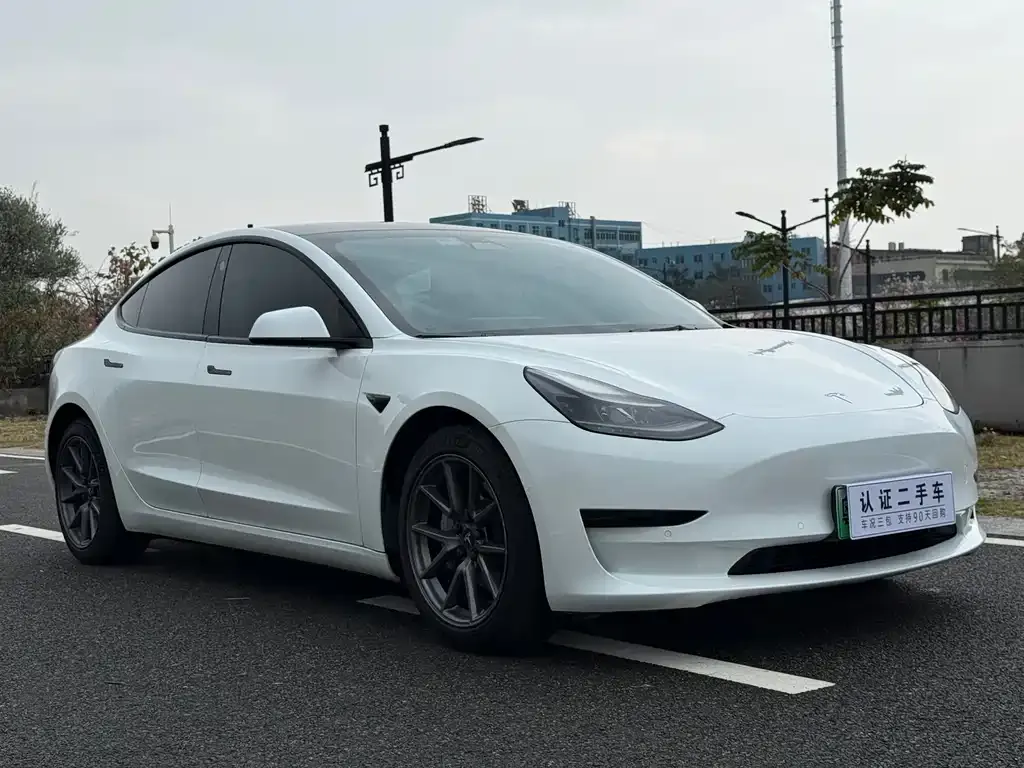 Tesla Model 3 2021 из CN, фото 5