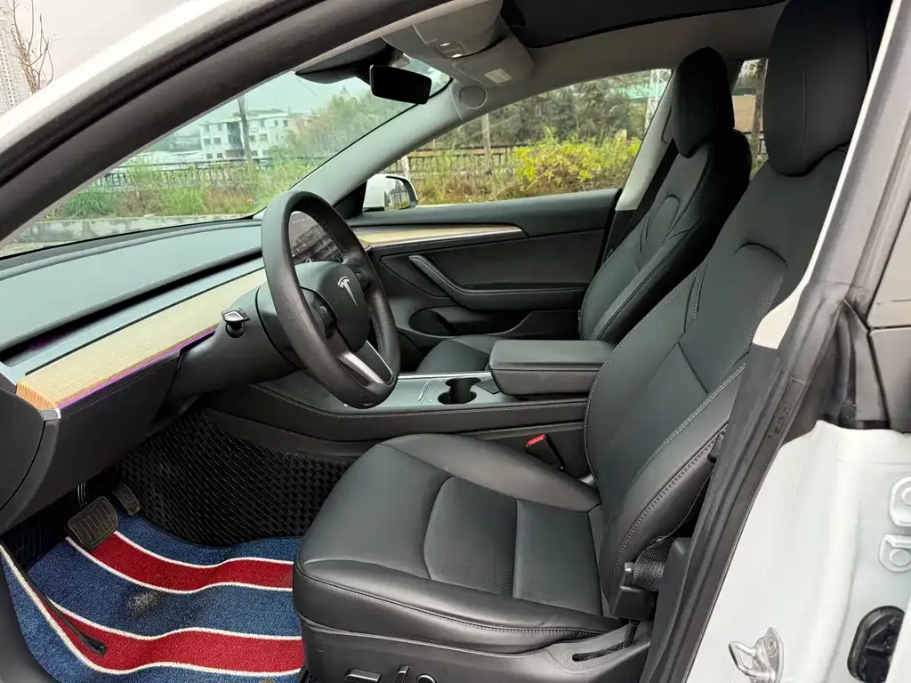 Tesla Model 3 2021 из CN, фото 7