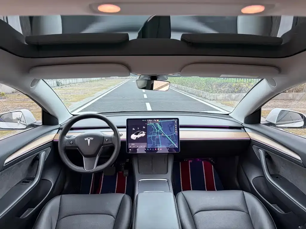 Tesla Model 3 2021 из CN, фото 9