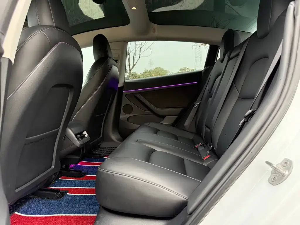 Tesla Model 3 2021 из CN, фото 3