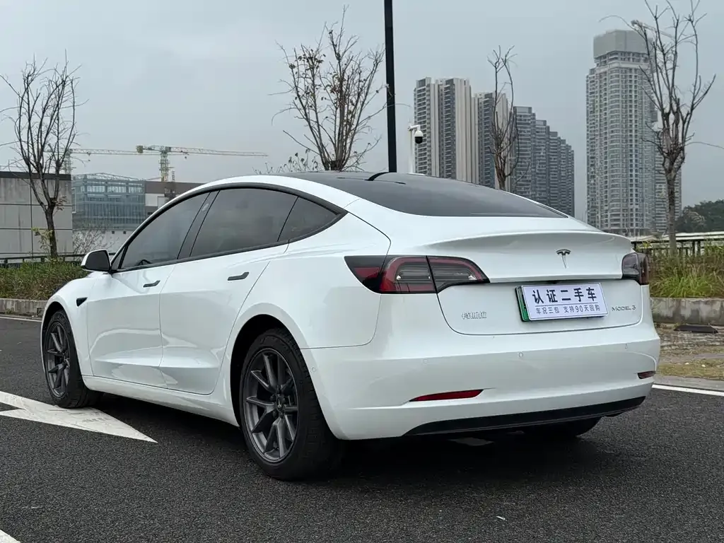 Tesla Model 3 2021 из CN, фото 4
