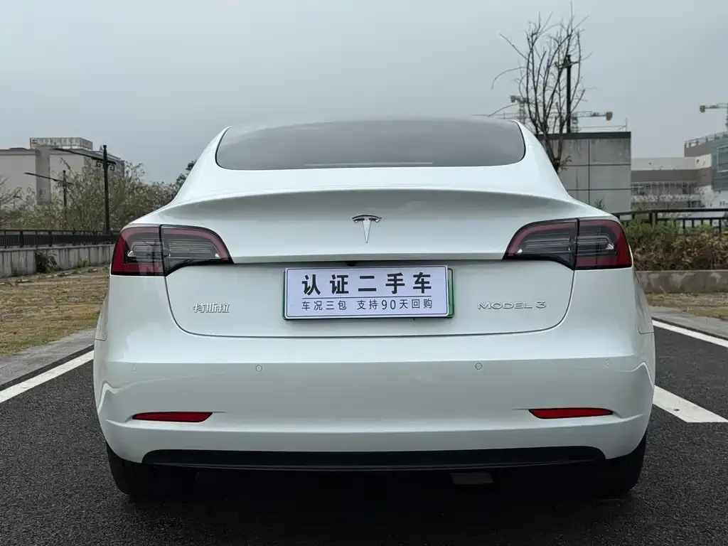 Tesla Model 3 2021 из CN, фото 2