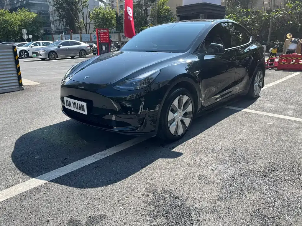 Tesla Model Y — фото 1