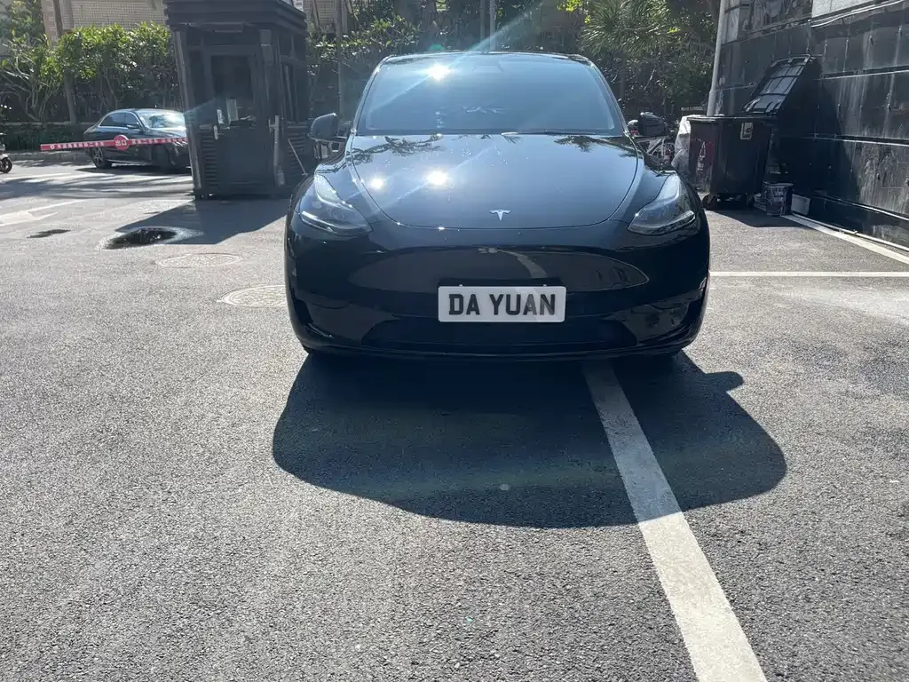Tesla Model Y — фото 8
