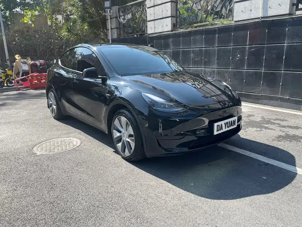 Tesla Model Y — фото 2