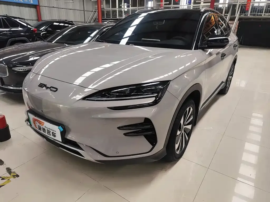 BYD PLUS New Energy — фото 1