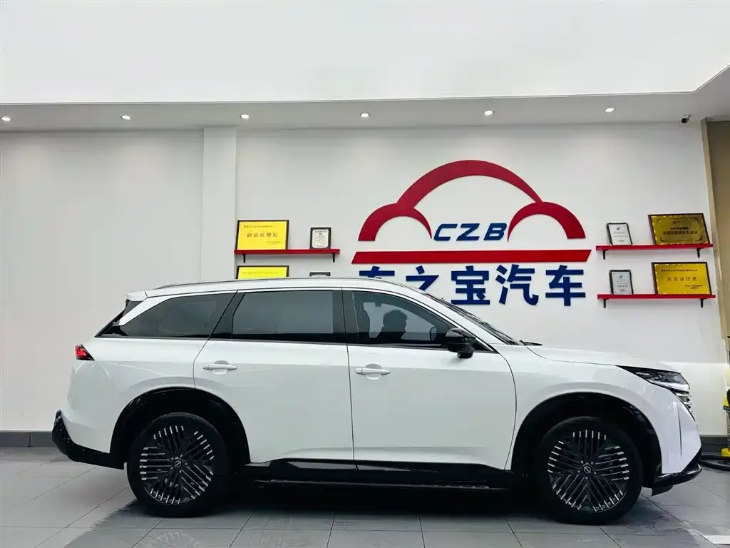 Nissan Teramont 2024 из CN, фото 5