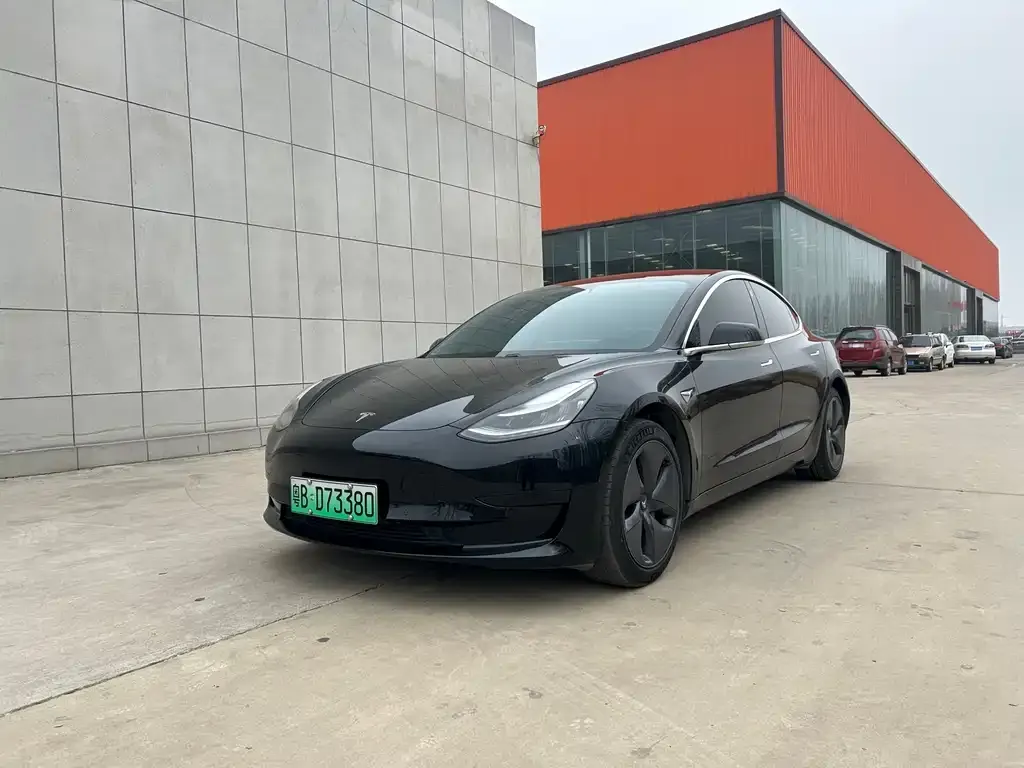 Tesla Model 3 2021 из CN, фото 1