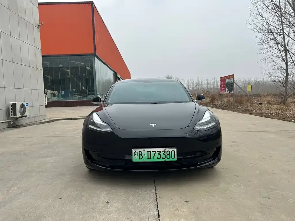 Tesla Model 3 2021 из CN, фото 3