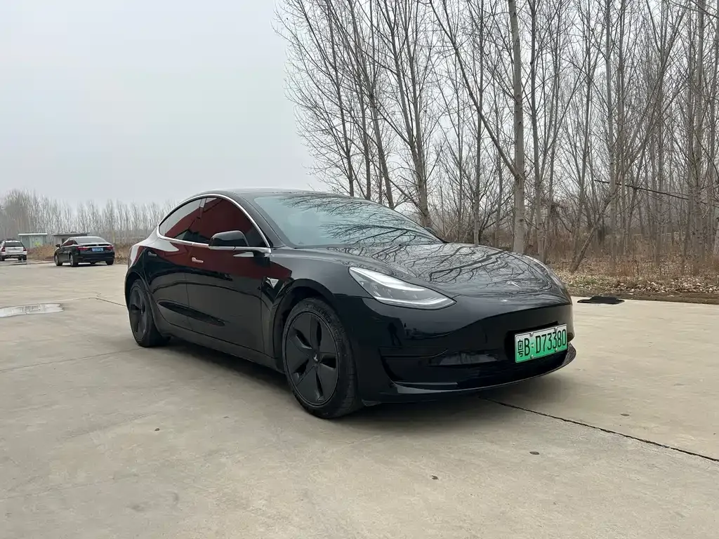 Tesla Model 3 2021 из CN, фото 7