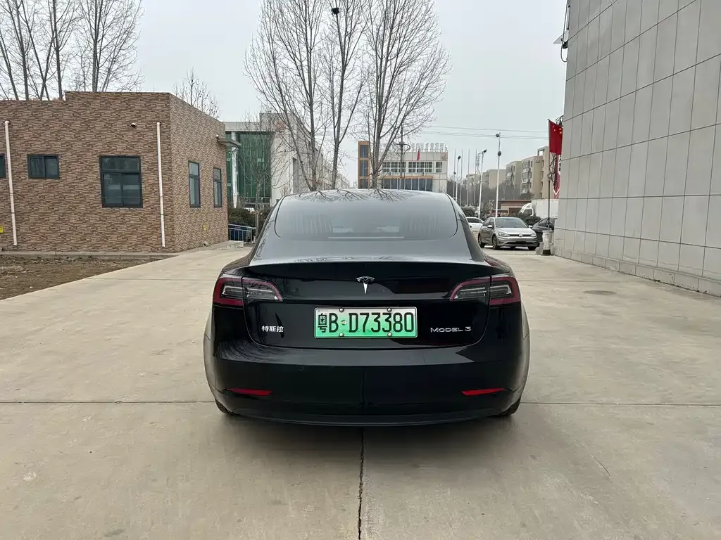 Tesla Model 3 2021 из CN, фото 6