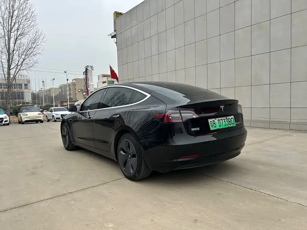 Tesla Model 3 2021 из CN, фото 4