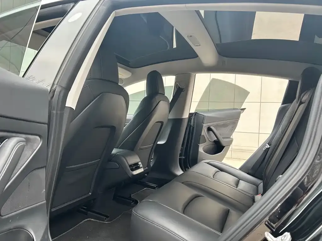 Tesla Model 3 2021 из CN, фото 5