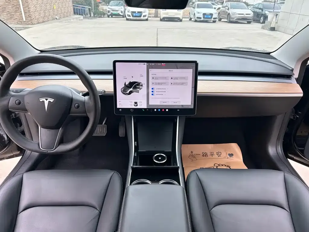 Tesla Model 3 2021 из CN, фото 9