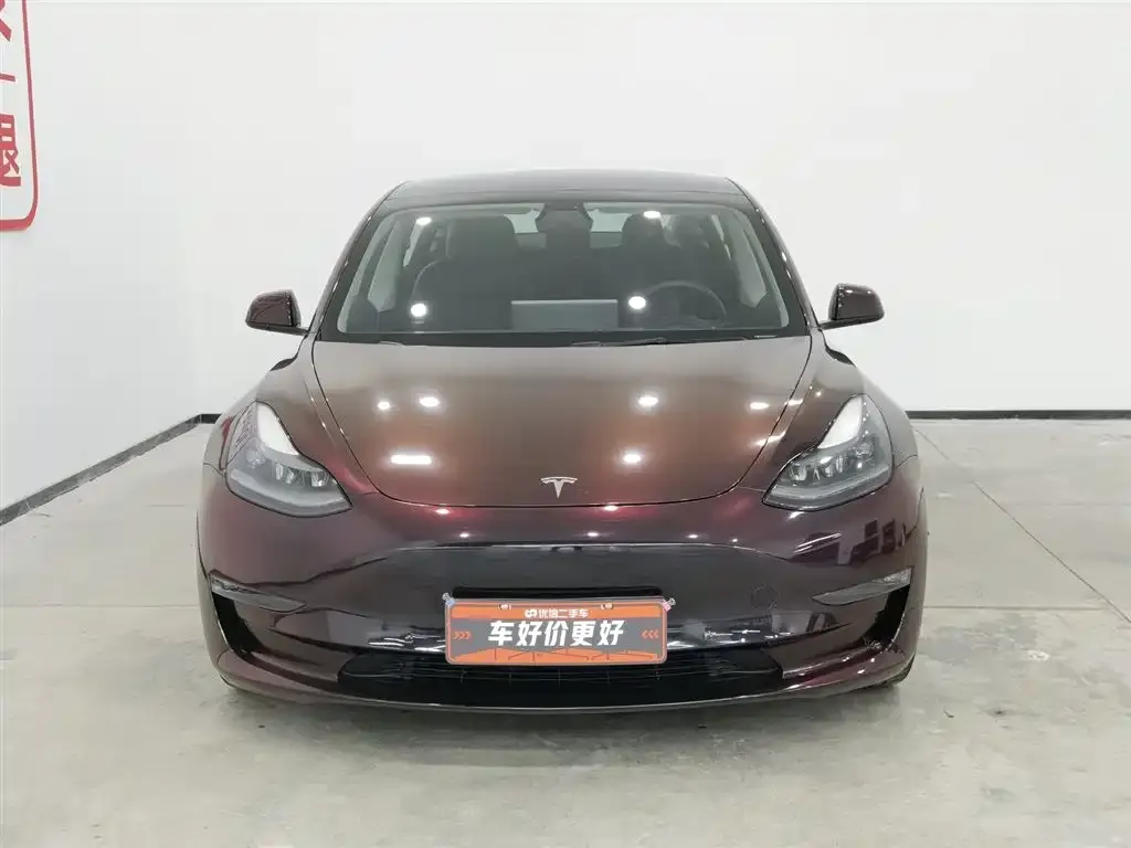 Tesla Model 3 2021 из CN, фото 2
