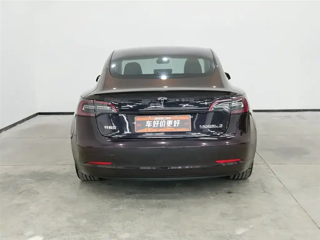 Tesla Model 3 2021 из CN, фото 9