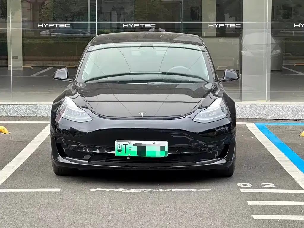 Tesla Model 3 2021 из CN, фото 1