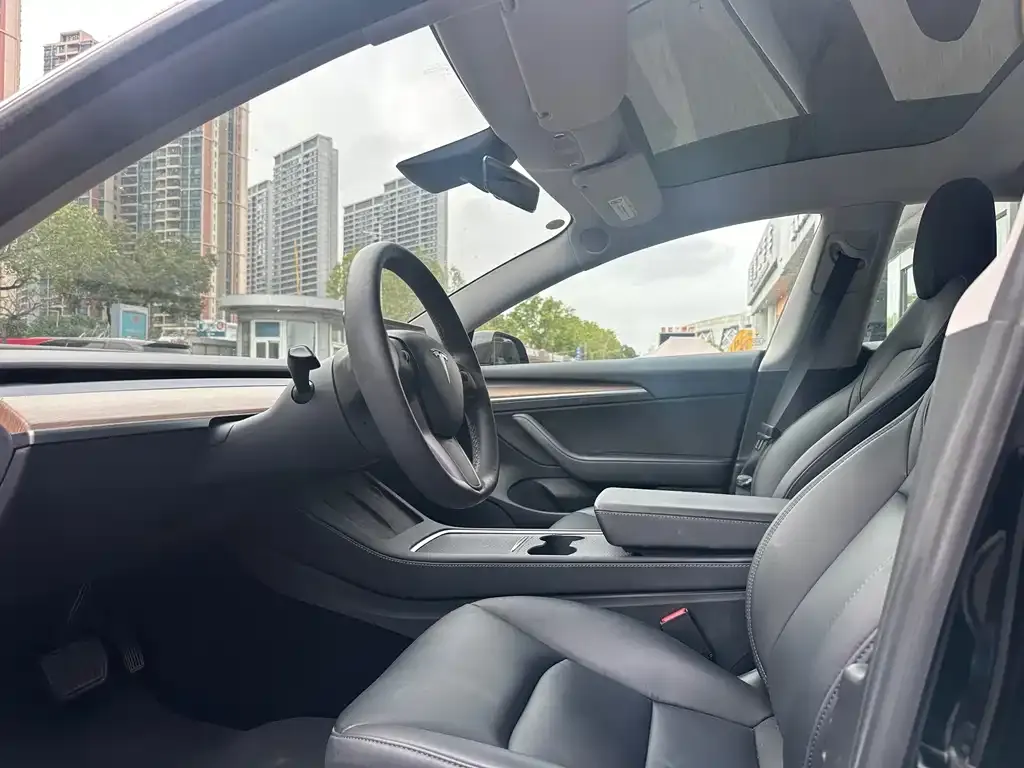 Tesla Model 3 2021 из CN, фото 2