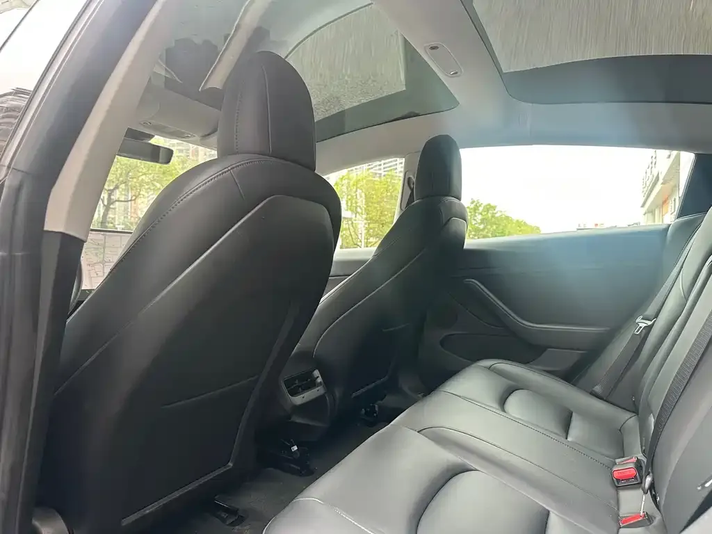 Tesla Model 3 2021 из CN, фото 3