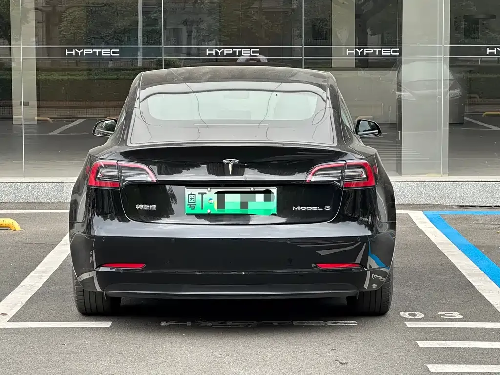 Tesla Model 3 2021 из CN, фото 4