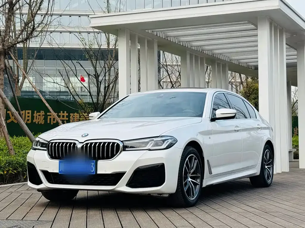 BMW 5 Series 2023 из CN, фото 1