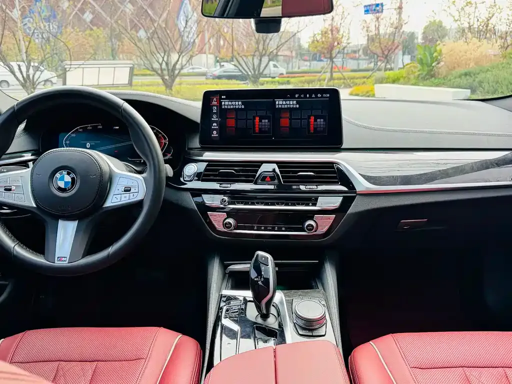 BMW 5 Series 2023 из CN, фото 9