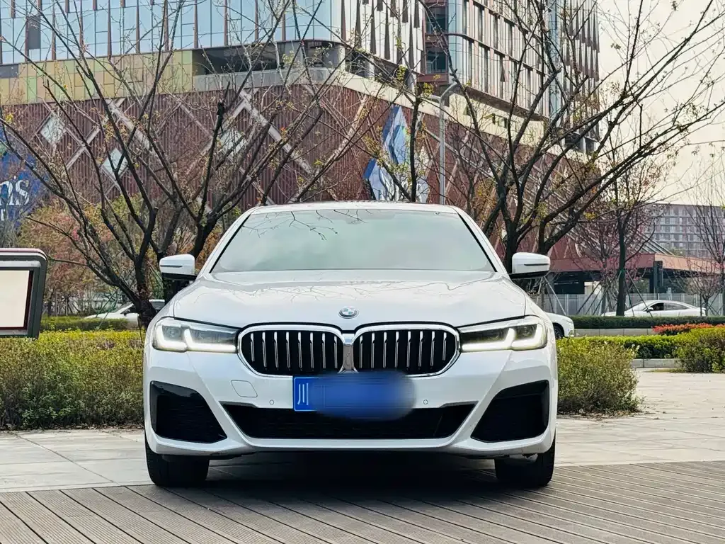 BMW 5 Series 2023 из CN, фото 7