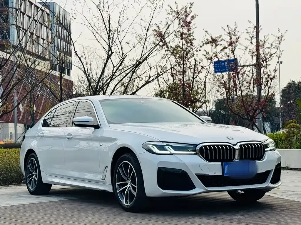 BMW 5 Series 2023 из CN, фото 10