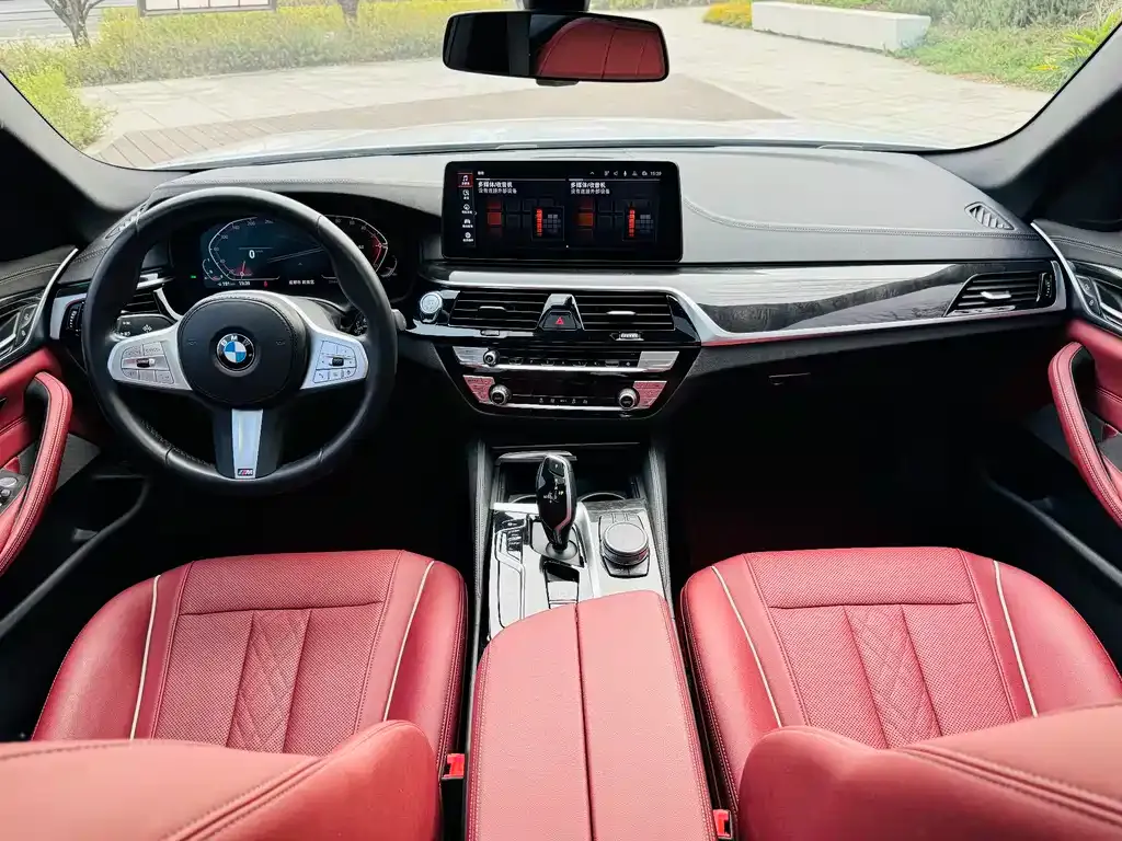 BMW 5 Series 2023 из CN, фото 6