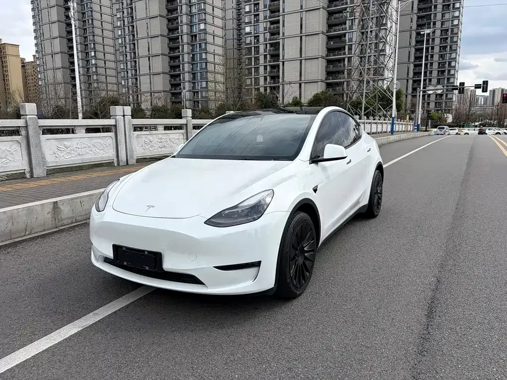 Tesla Model Y 2021 из CN, фото 1