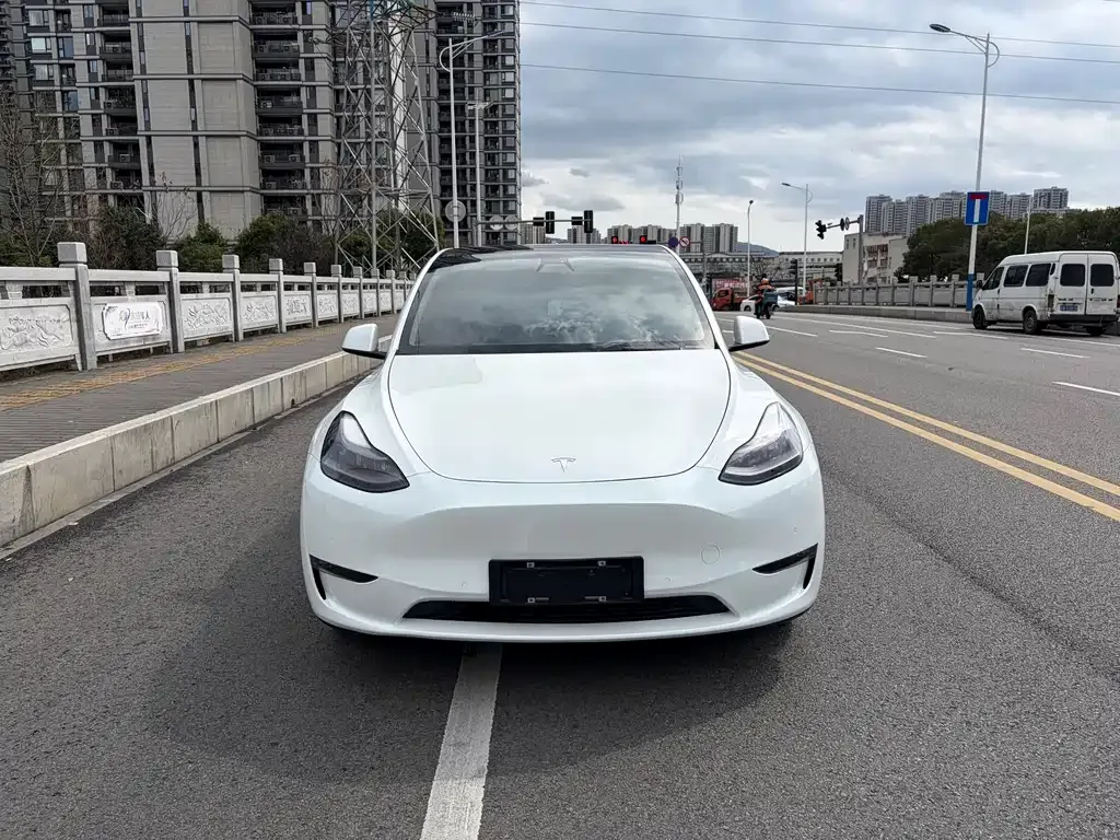 Tesla Model Y 2021 из CN, фото 10