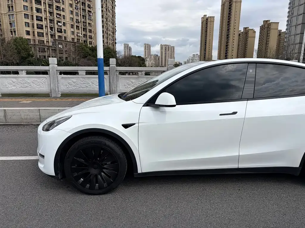 Tesla Model Y 2021 из CN, фото 7