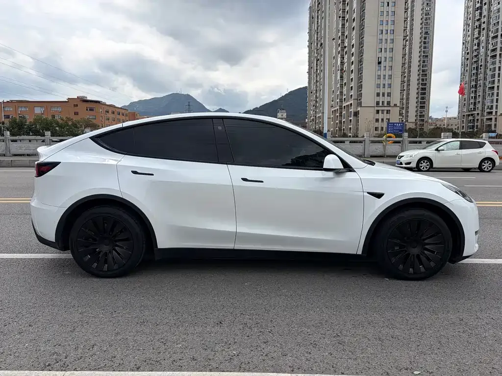 Tesla Model Y 2021 из CN, фото 8