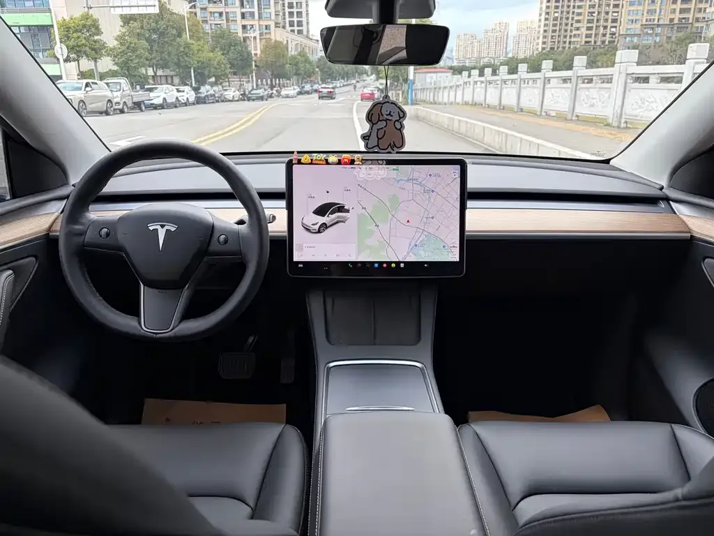 Tesla Model Y 2021 из CN, фото 4