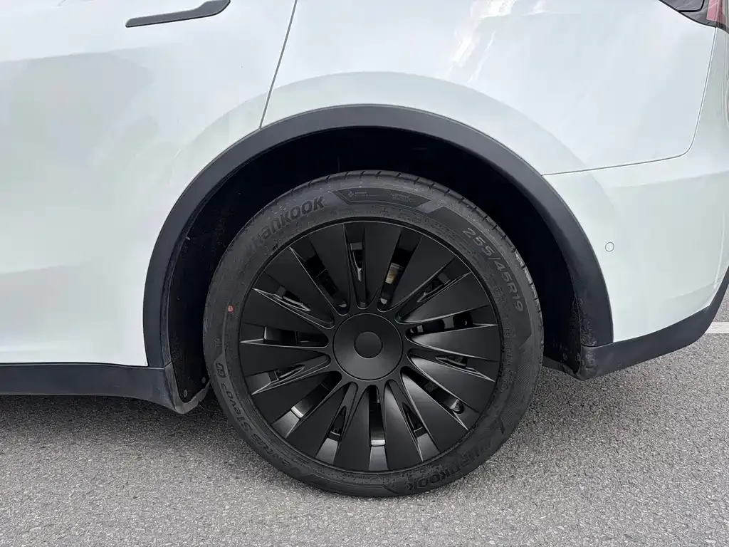 Tesla Model Y 2021 из CN, фото 2