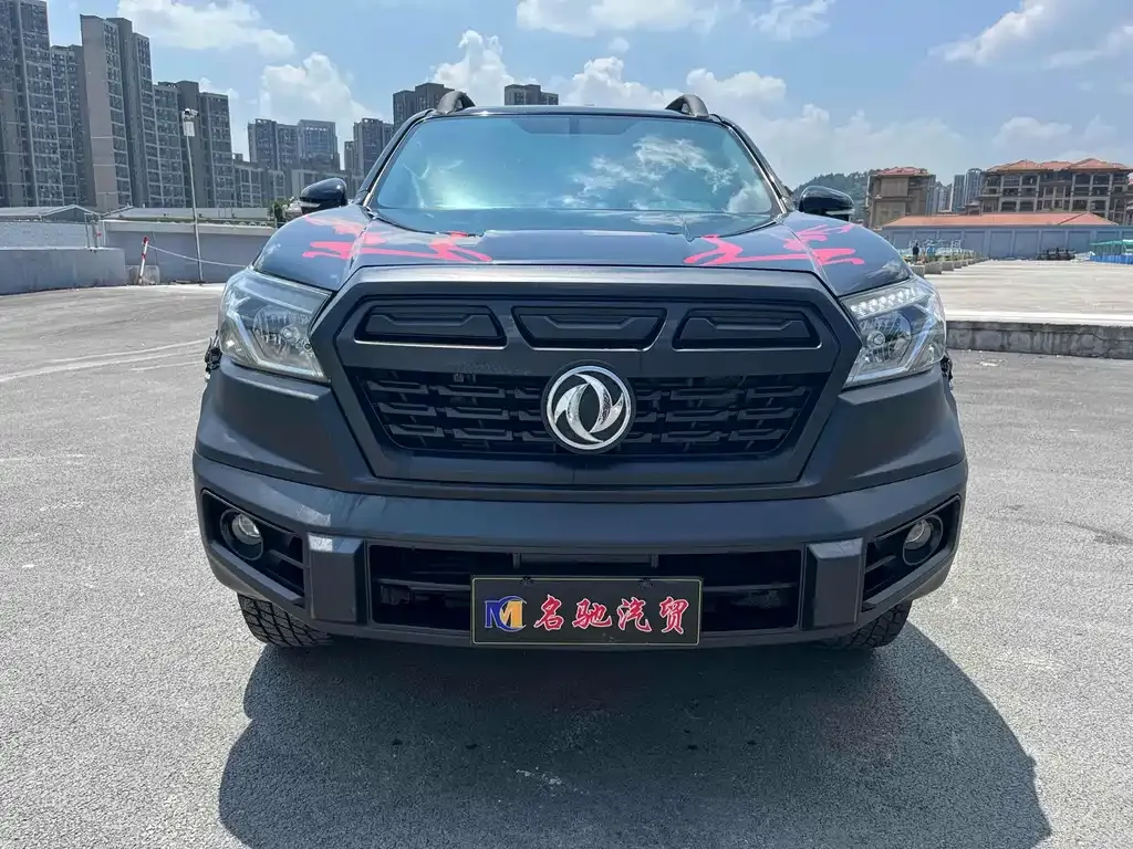 Dongfeng Rich 6 2021 из CN, фото 1