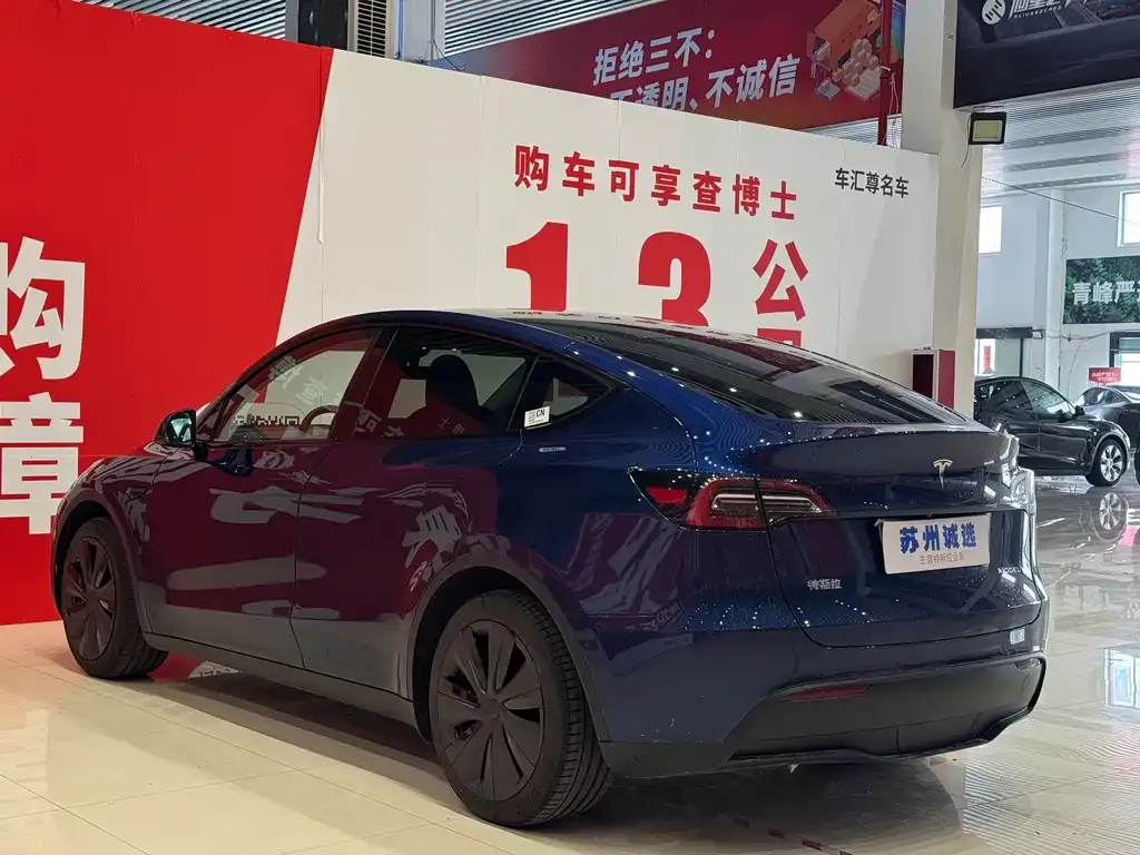 Tesla Model Y — фото 7