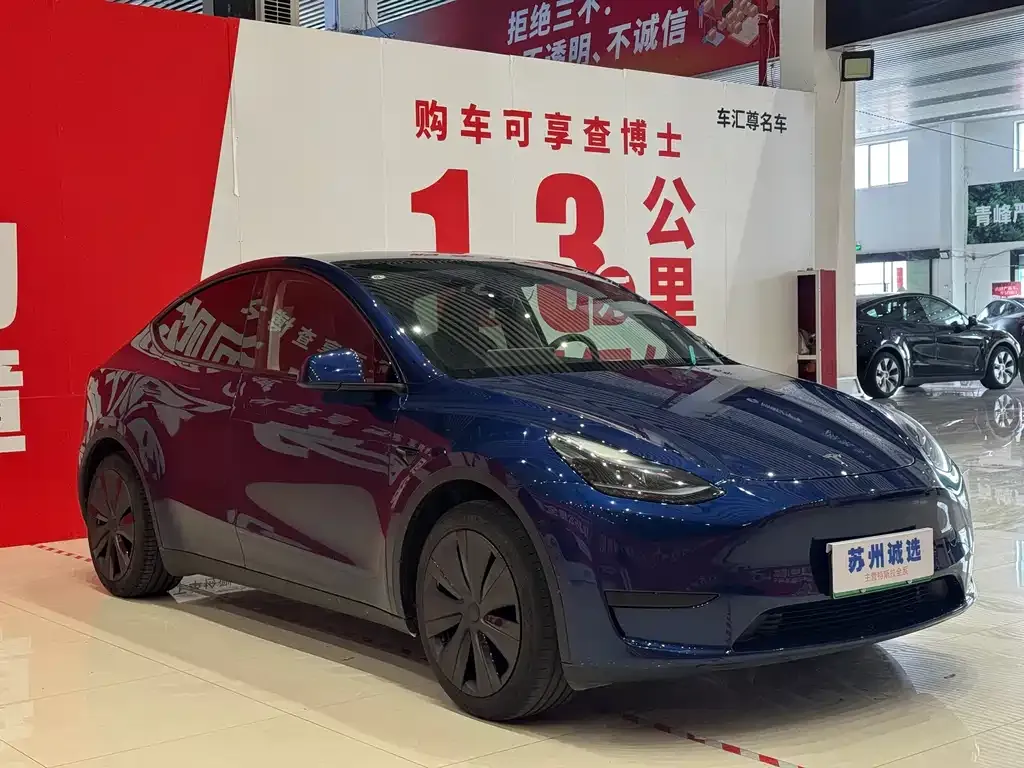 Tesla Model Y — фото 10