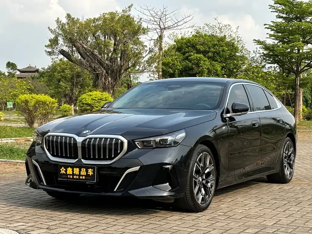 BMW 5 Series 2024 из CN, фото 1