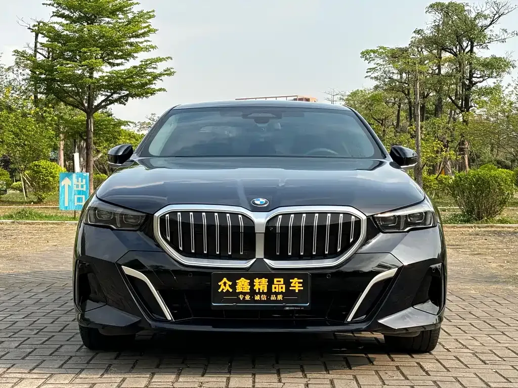 BMW 5 Series 2024 из CN, фото 6