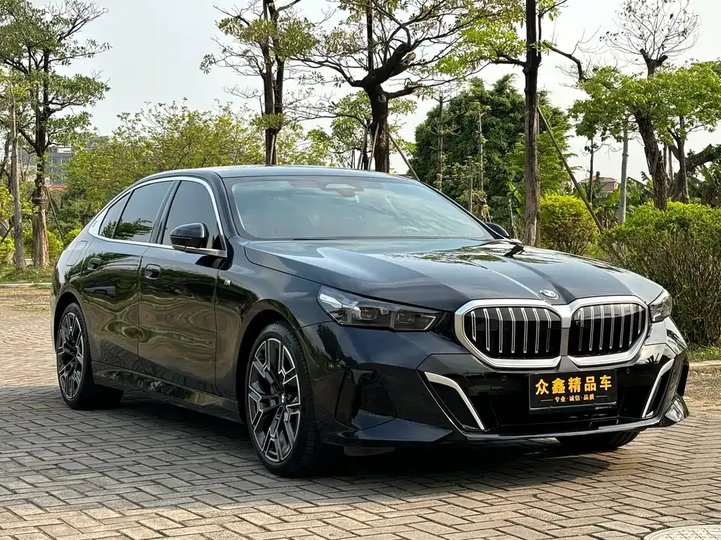 BMW 5 Series 2024 из CN, фото 10