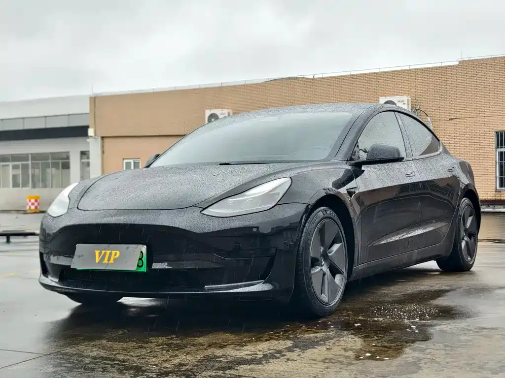 Tesla Model 3 2021 из CN, фото 1