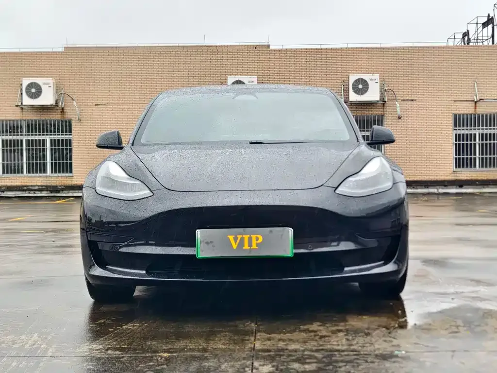 Tesla Model 3 2021 из CN, фото 6